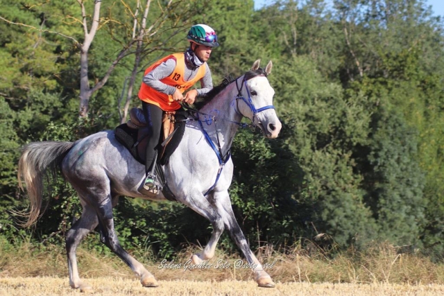 Entrenamientos de enduro sobre el caballo